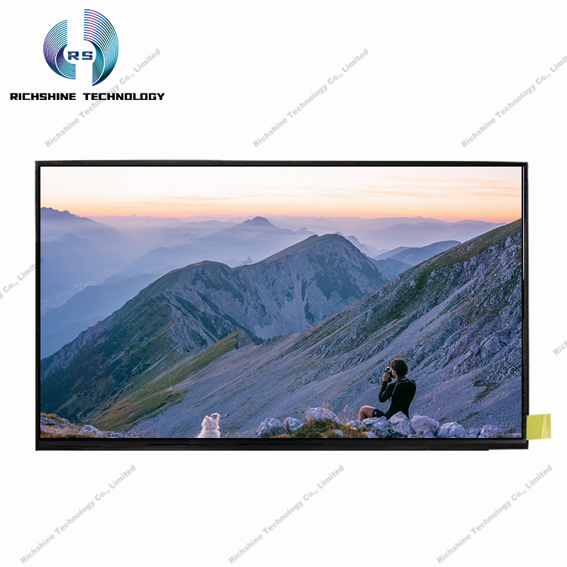 B156XTN08.2 15.6 inch HD TN</a>