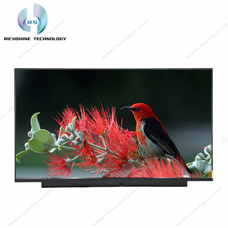 B156HAK02.0 15.6 inch FHD IPS</a>